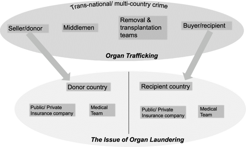 Organ trafficking